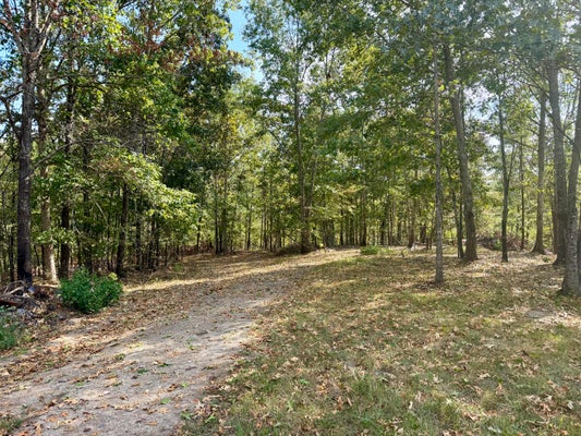 000 COUNTY ROAD 306, VAN BUREN, MO 63965 - Image fa645fb0b7d315a68019ffc412cd1e57/3410185457