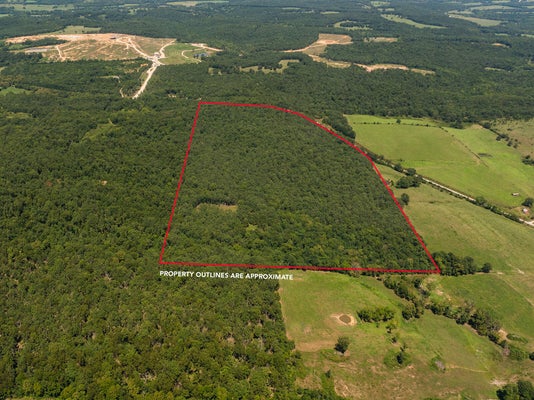 4991 SOUTH HWY E, HARTVILLE, MO 65667 - Image faacb7ee63e31264b7731d672c4b1da6/4135263704