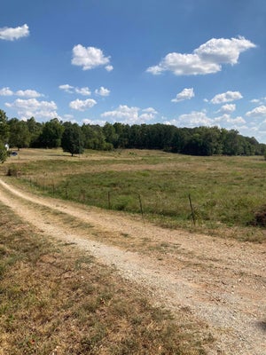 13115 FALCON RD, NEOSHO, MO 64850 - Image fb9fde636b4c16baf198de922d76ee98/2236557149
