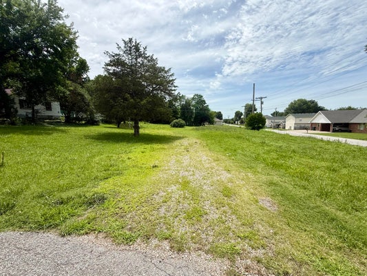 355 ROBERTS DR, MOUNT VERNON, MO 65712 - Image fba96d4b81024dca01d3b40826501539/265276989
