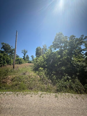 000 STANTON ROAD, RICHLAND, MO 65556 - Image fbceeededec8621ef2d3a7eee70625b7/2972084792
