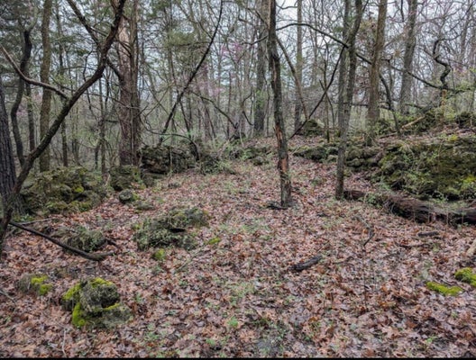 000 GRIER BRANCH ROAD, STRAFFORD, MO 65757 - Image fc45ca6143d7571104fa0be41eaca655/2633441197