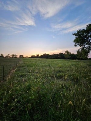 102 E LAWRENCE ST, MARIONVILLE, MO 65705 - Image fc5b992ec2e5321f2fec69c67291e79a/1503839648