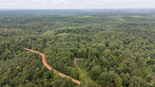 6 COWAN RIDGE RD, POWELL, MO 65730 - Image fe61cbb80bbc81fb6dc42d2b82d89b2d/653352529