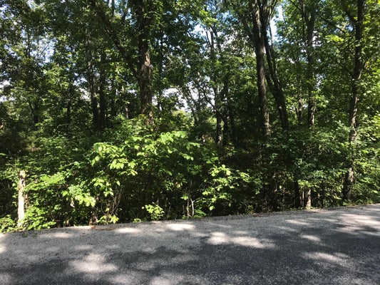 145 TYLER CIR, HOLLISTER, MO 65672 - Image ffd73e183924f32a07e713405e0dc680/2370515375
