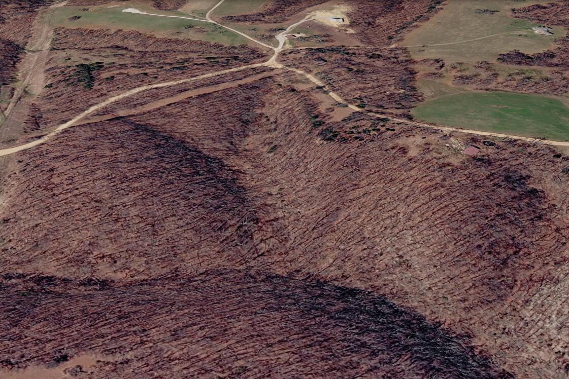 519 Trent Road Aerial Photo