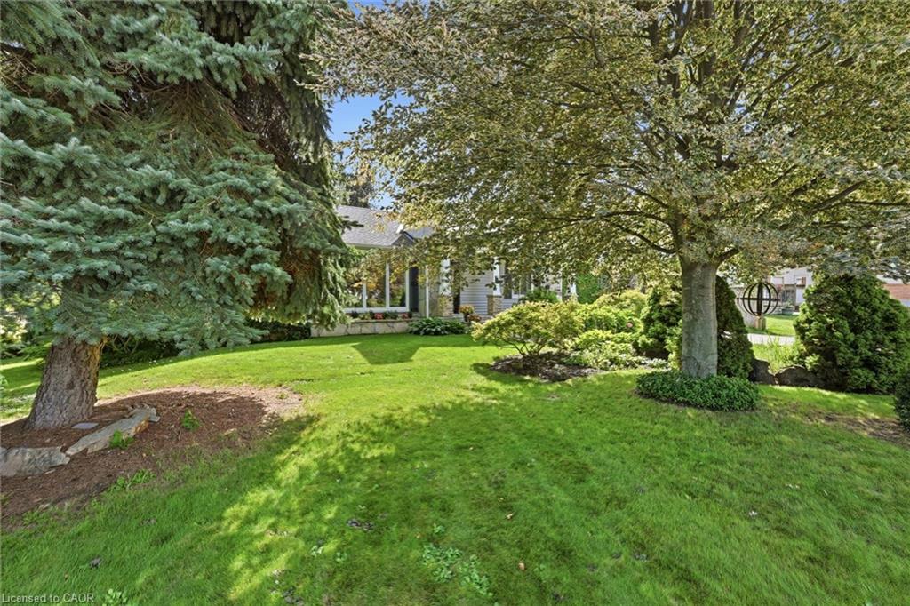 6 Kerman Avenue