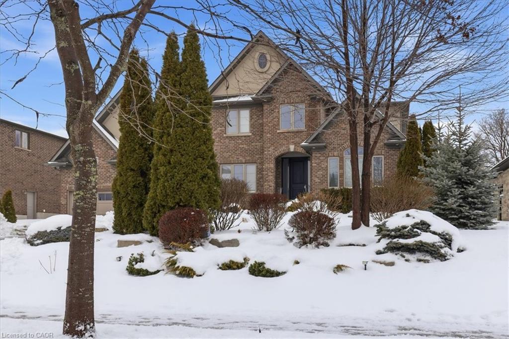 237 River Birch Street