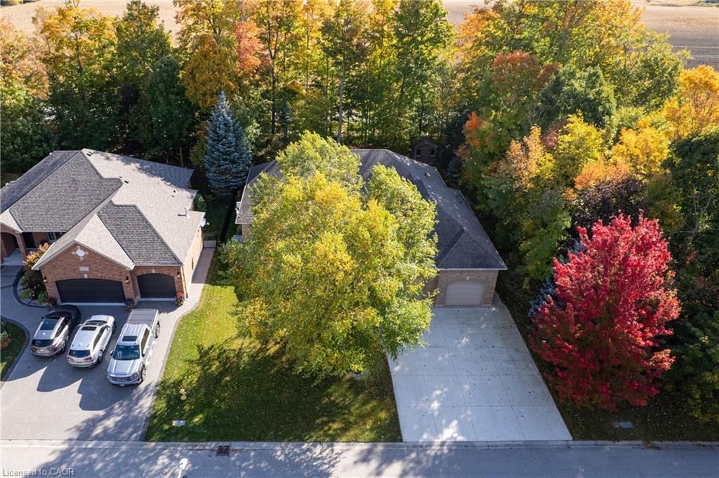 12 Welwood Avenue