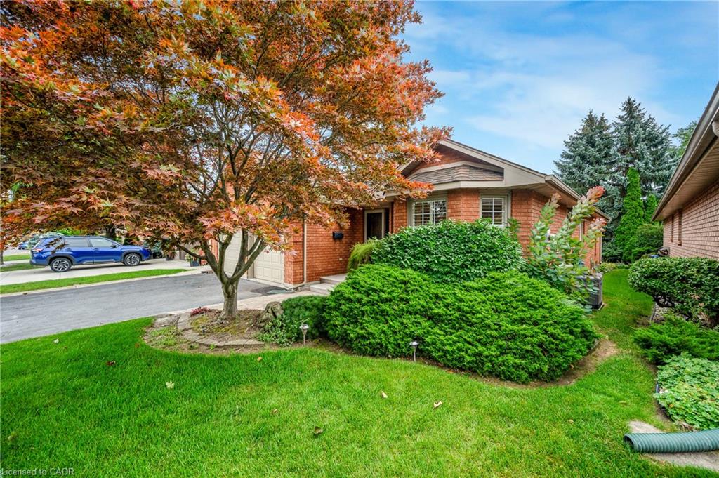 1150 Augustus Drive