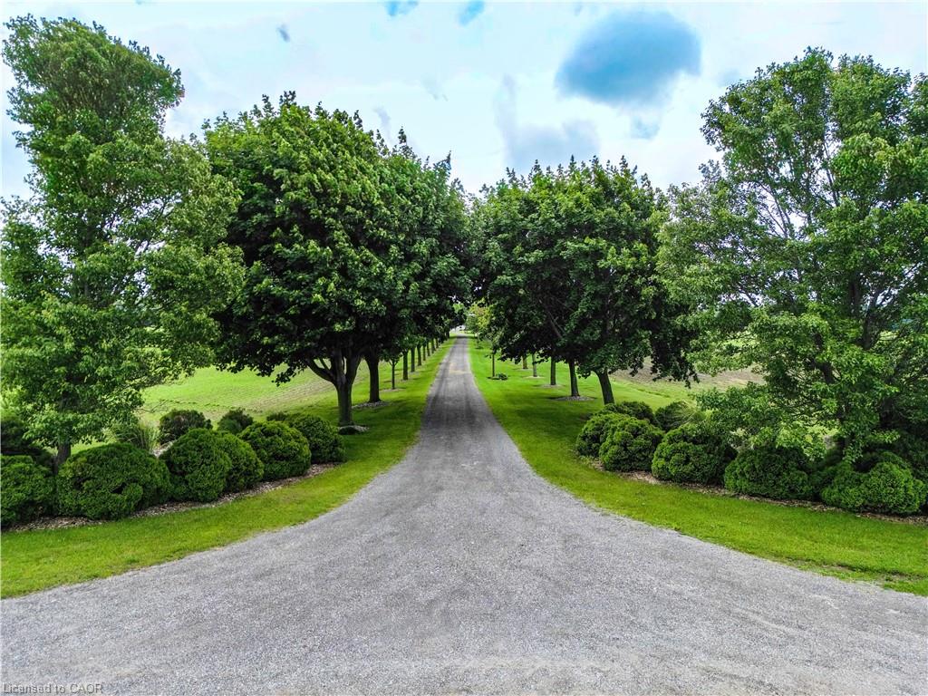 228 Charlotteville Road 1