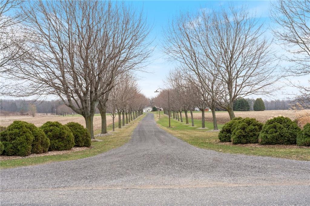 228 Charlotteville Road 1