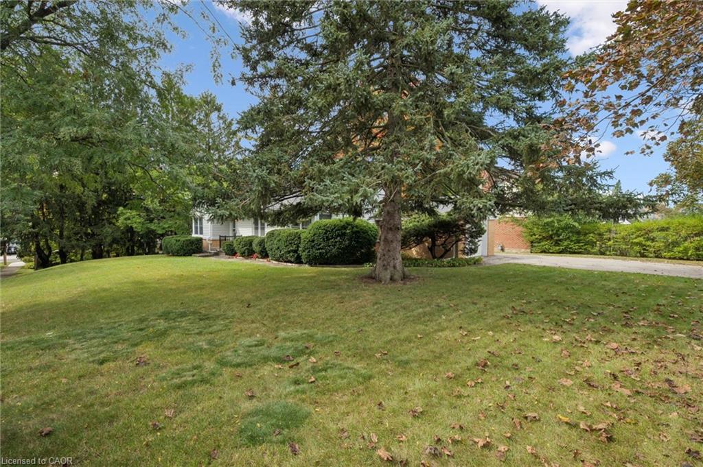 65 Belmont Avenue W