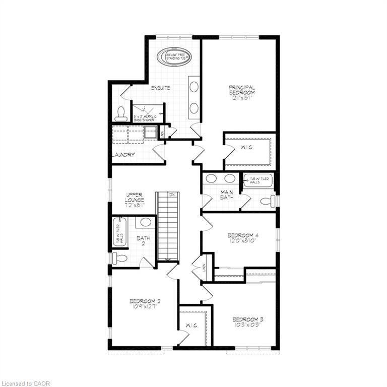 335 Canada Plum Street