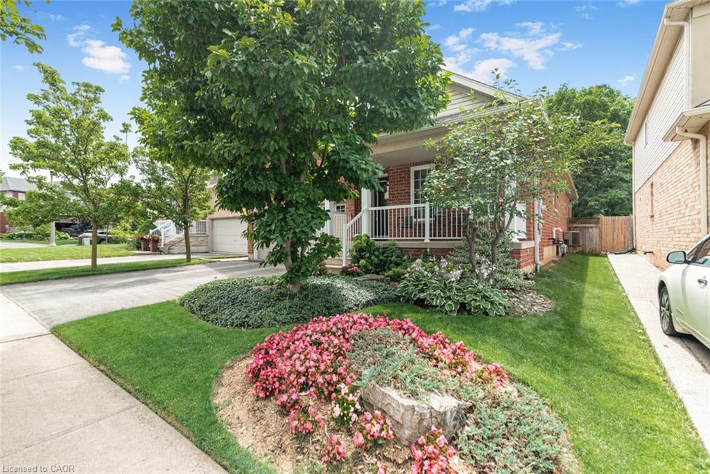 80 Vinifera Drive