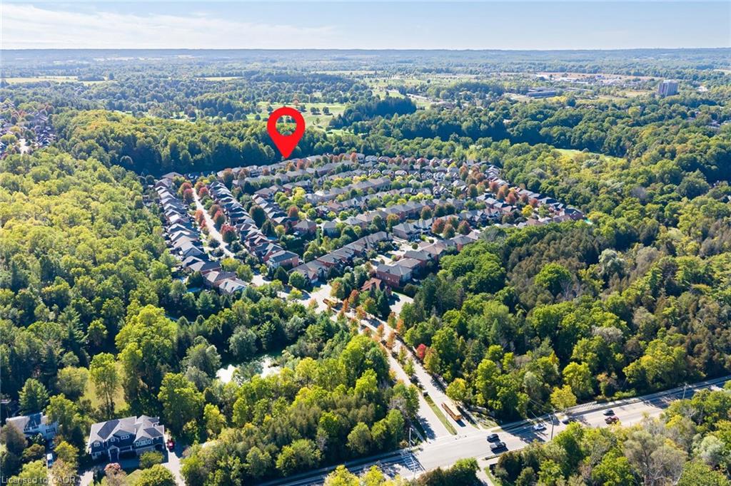 50 Arborglen Drive