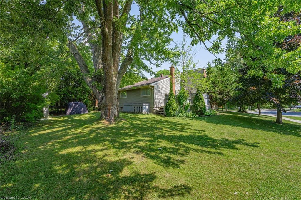 31 Mulberry Lane