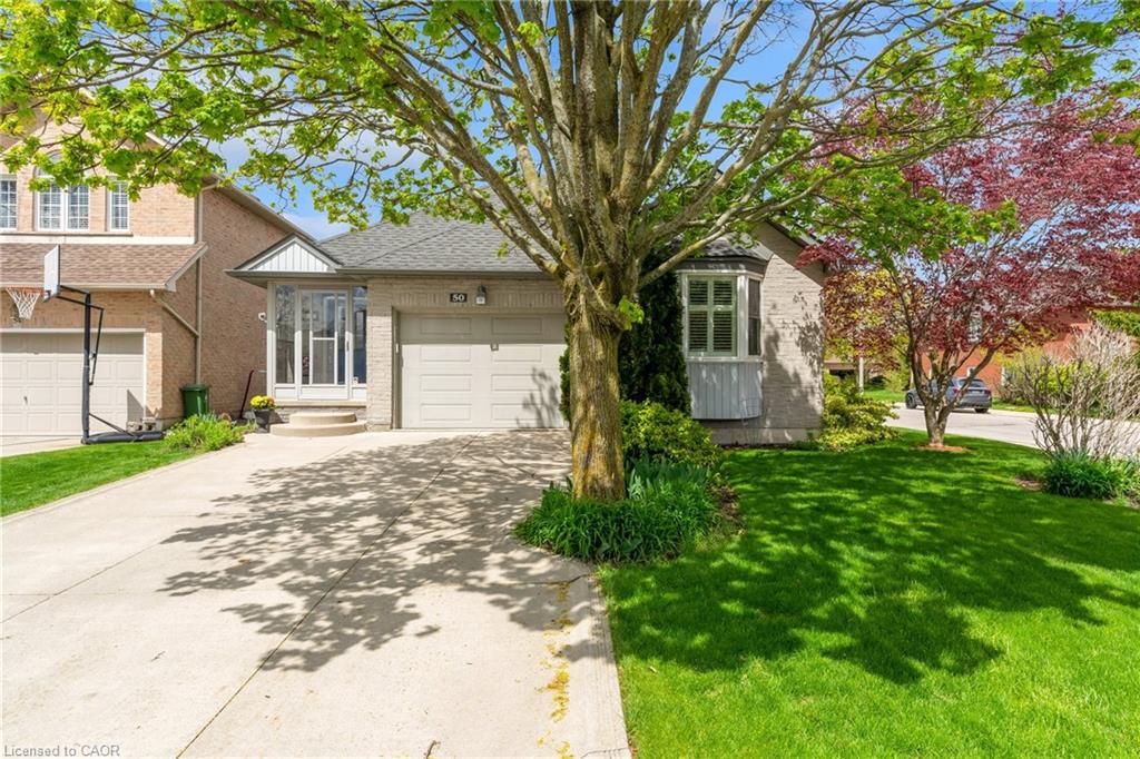 50 Spadara Drive