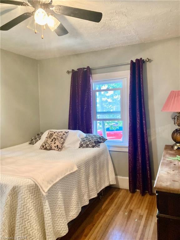 9 Woodland Avenue