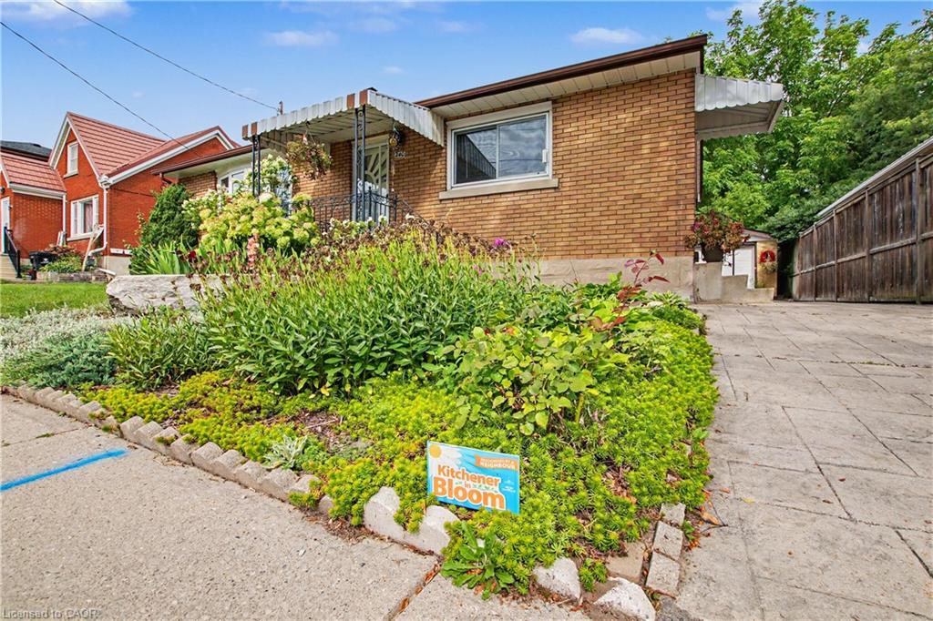 240 Guelph Street