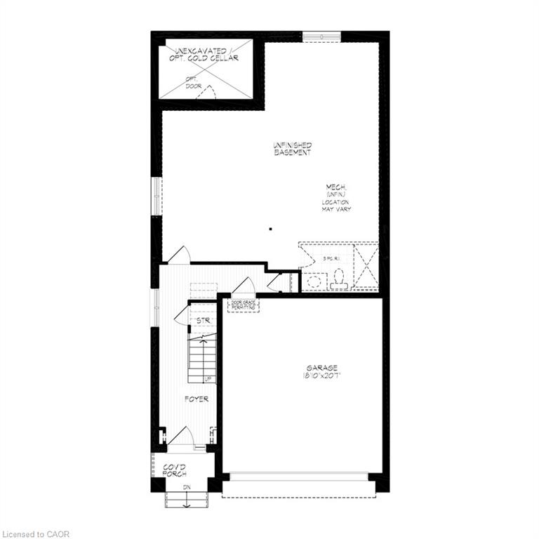 337 Canada Plum Street