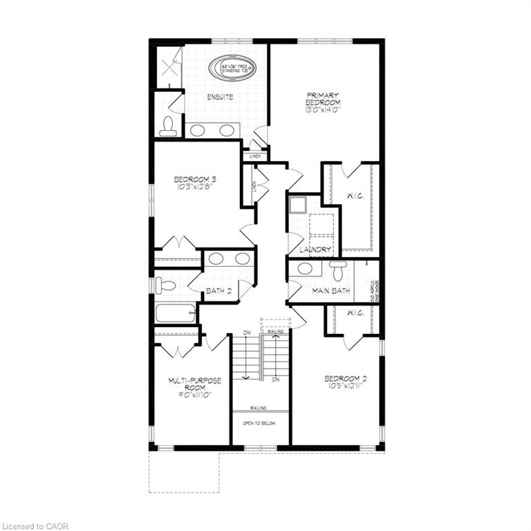 337 Canada Plum Street