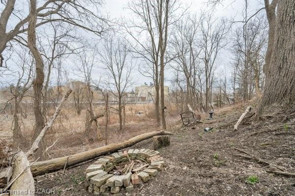 163 Fountain Street N