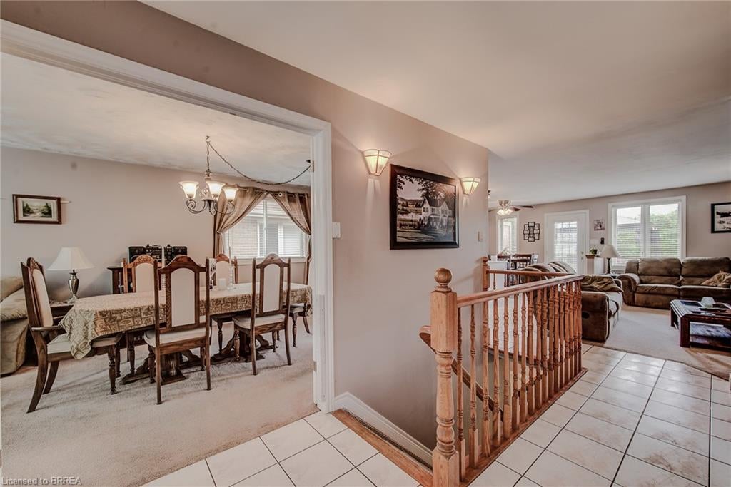 45 Olivetree Road