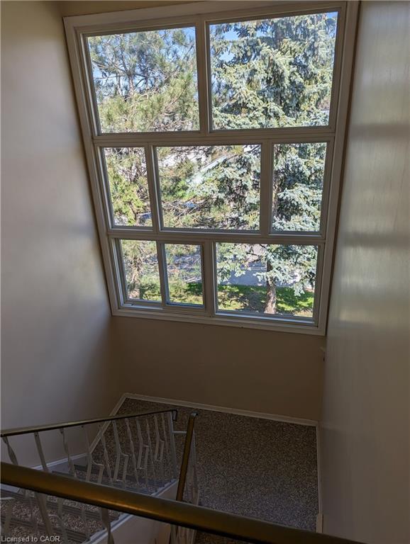 351 Hoffman Street