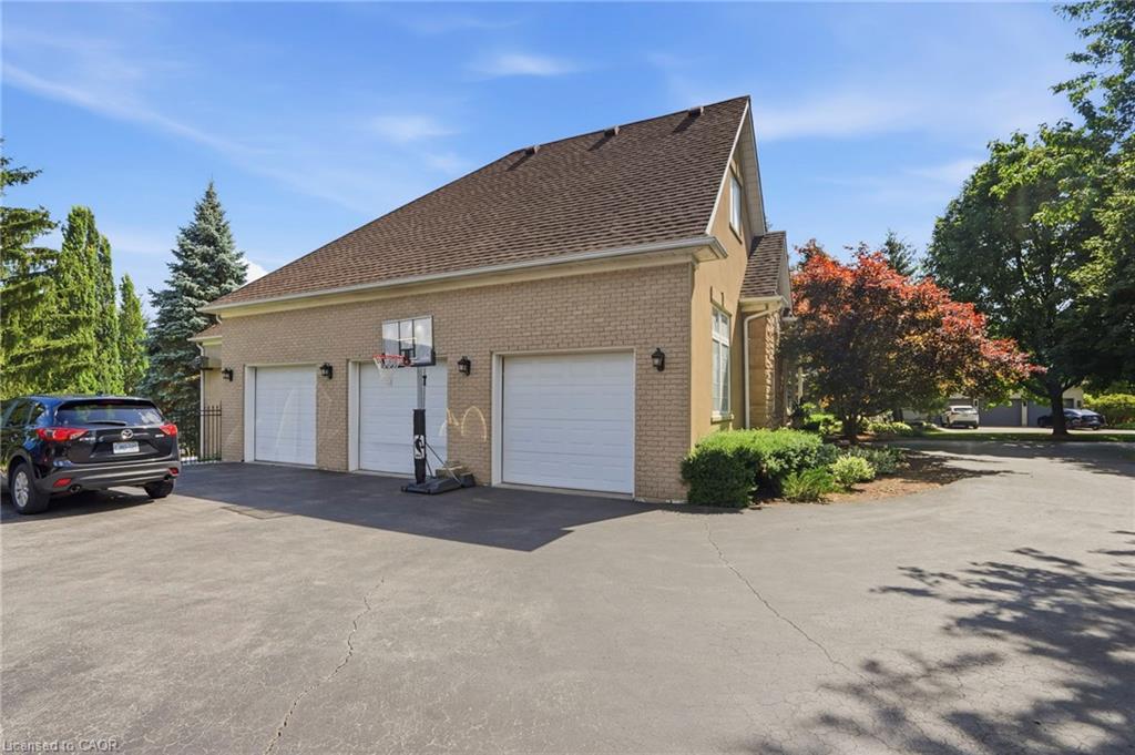 11 Palomino Drive