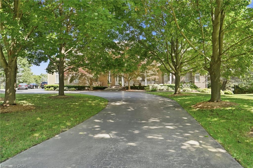 11 Palomino Drive