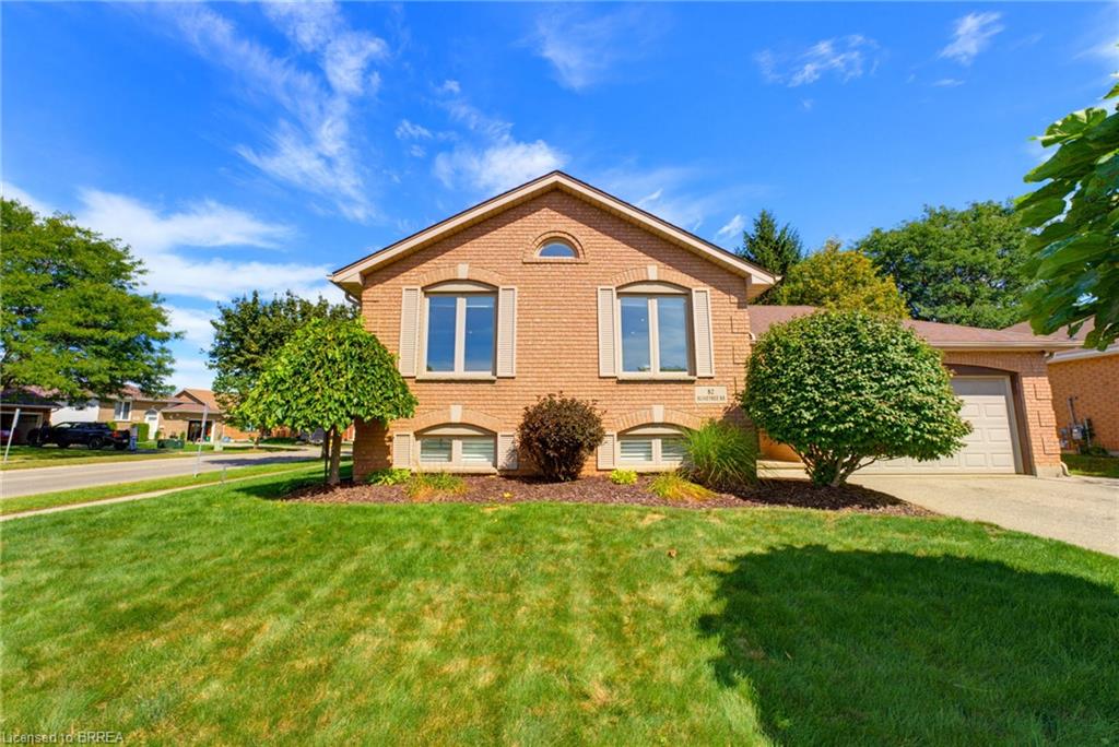 82 Olivetree Road