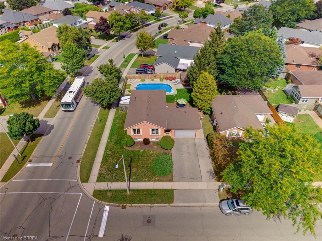 82 Olivetree Road