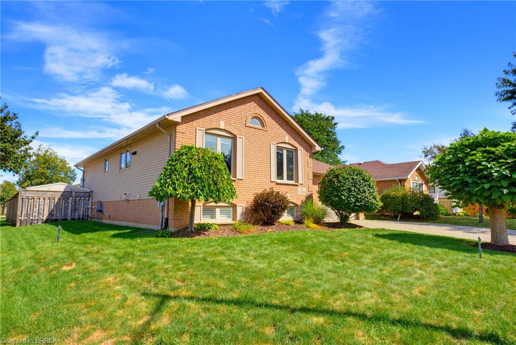 82 Olivetree Road