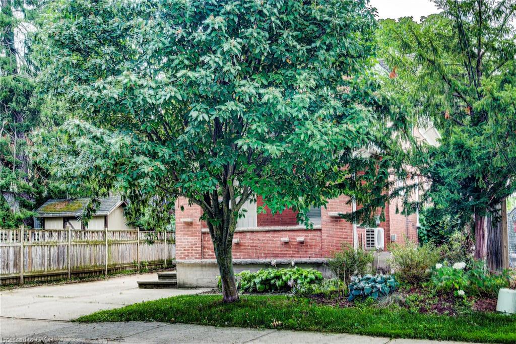 81 Willow Street
