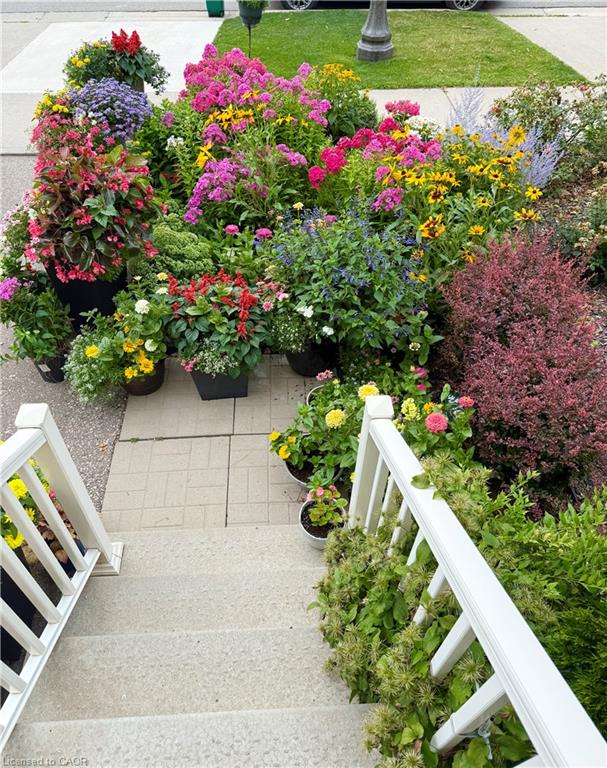 27 Grand Flats Trail