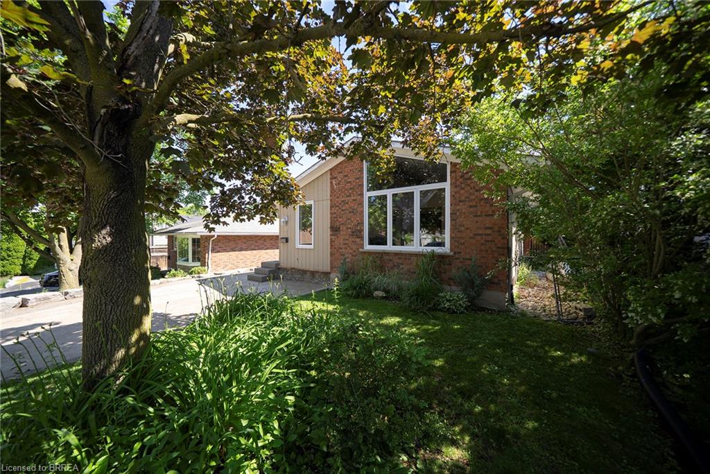 17 Flynn Avenue
