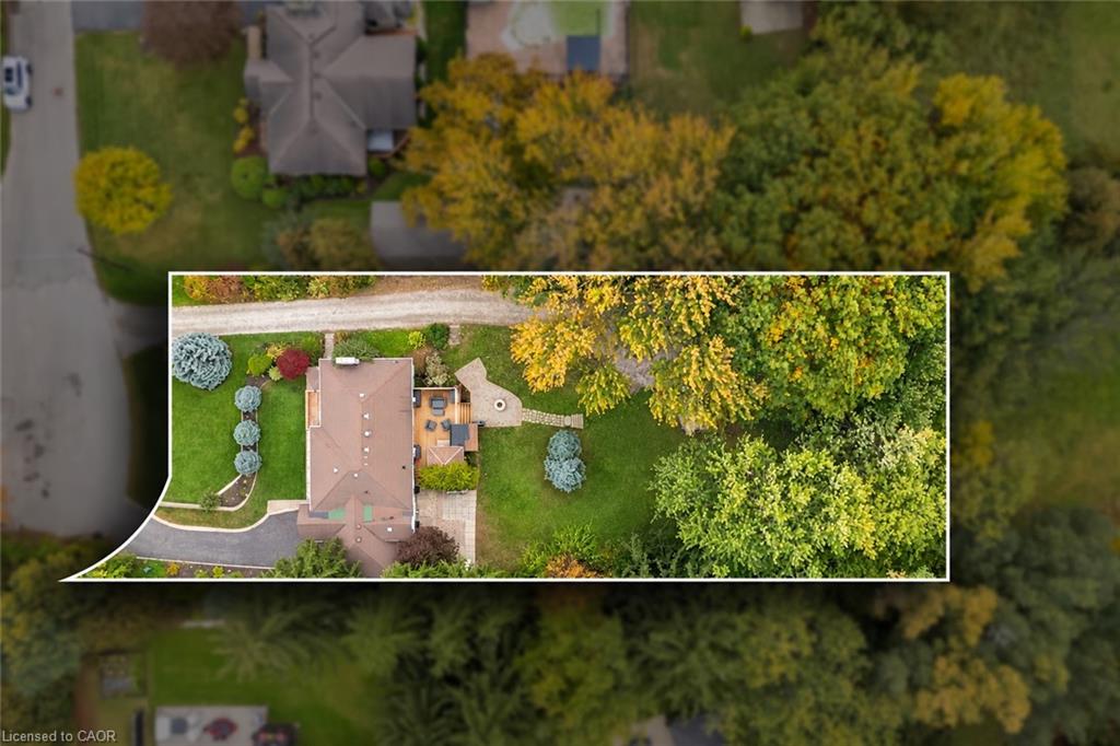284 Mapledene Drive