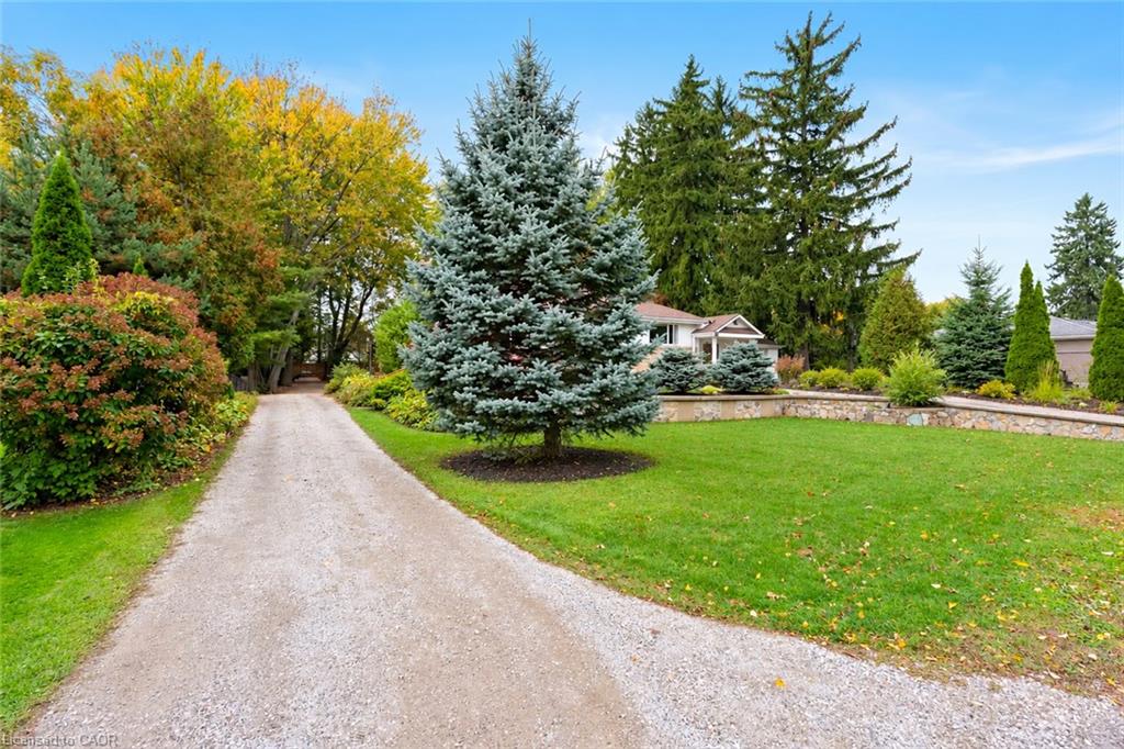 284 Mapledene Drive