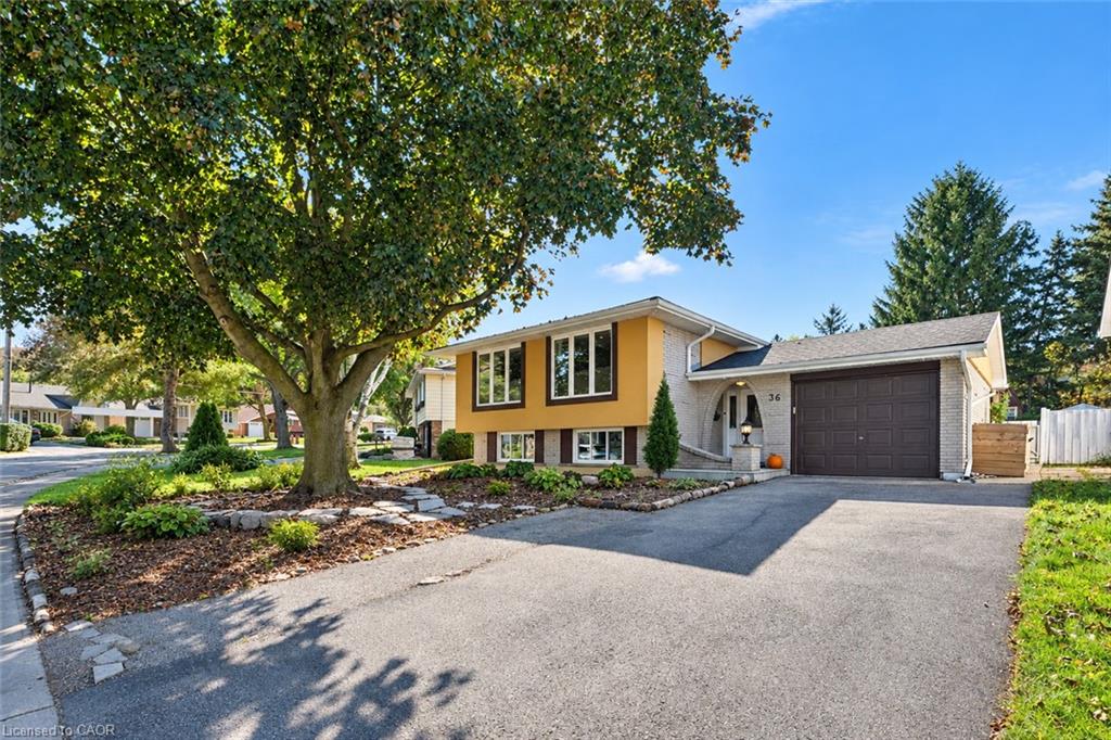 36 Hanover Place