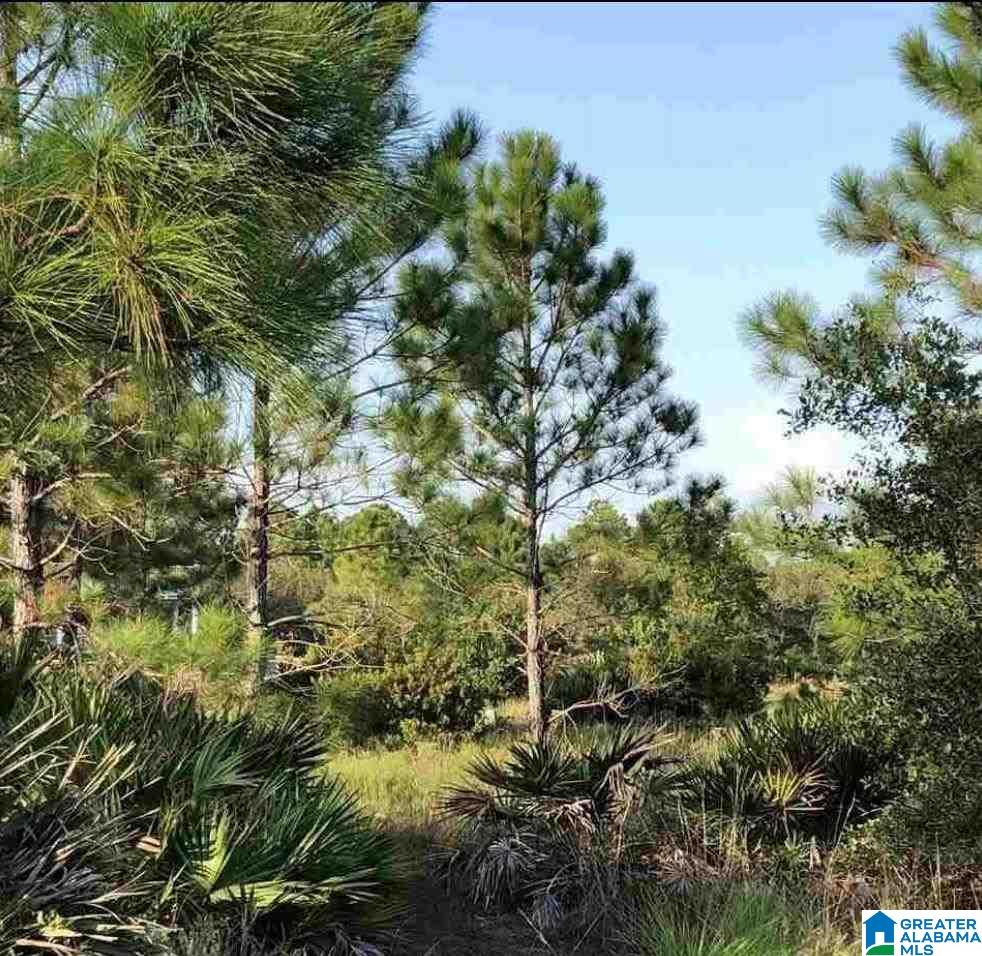 Driftwood Drive, Gulf Shores, AL 36542 MLS 1328177 Listing