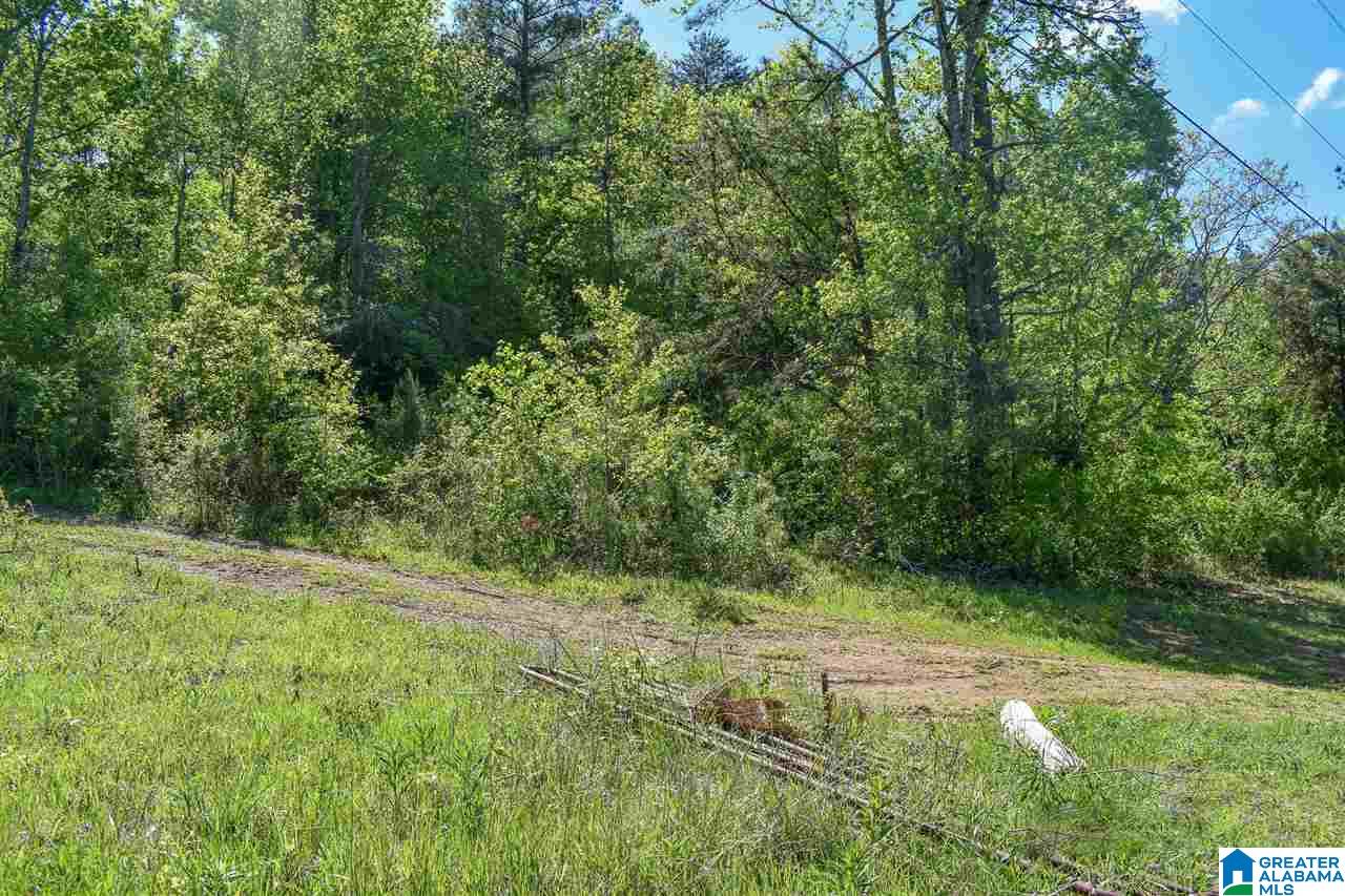 MLS 1285209 Listing Information Greater Alabama MLS