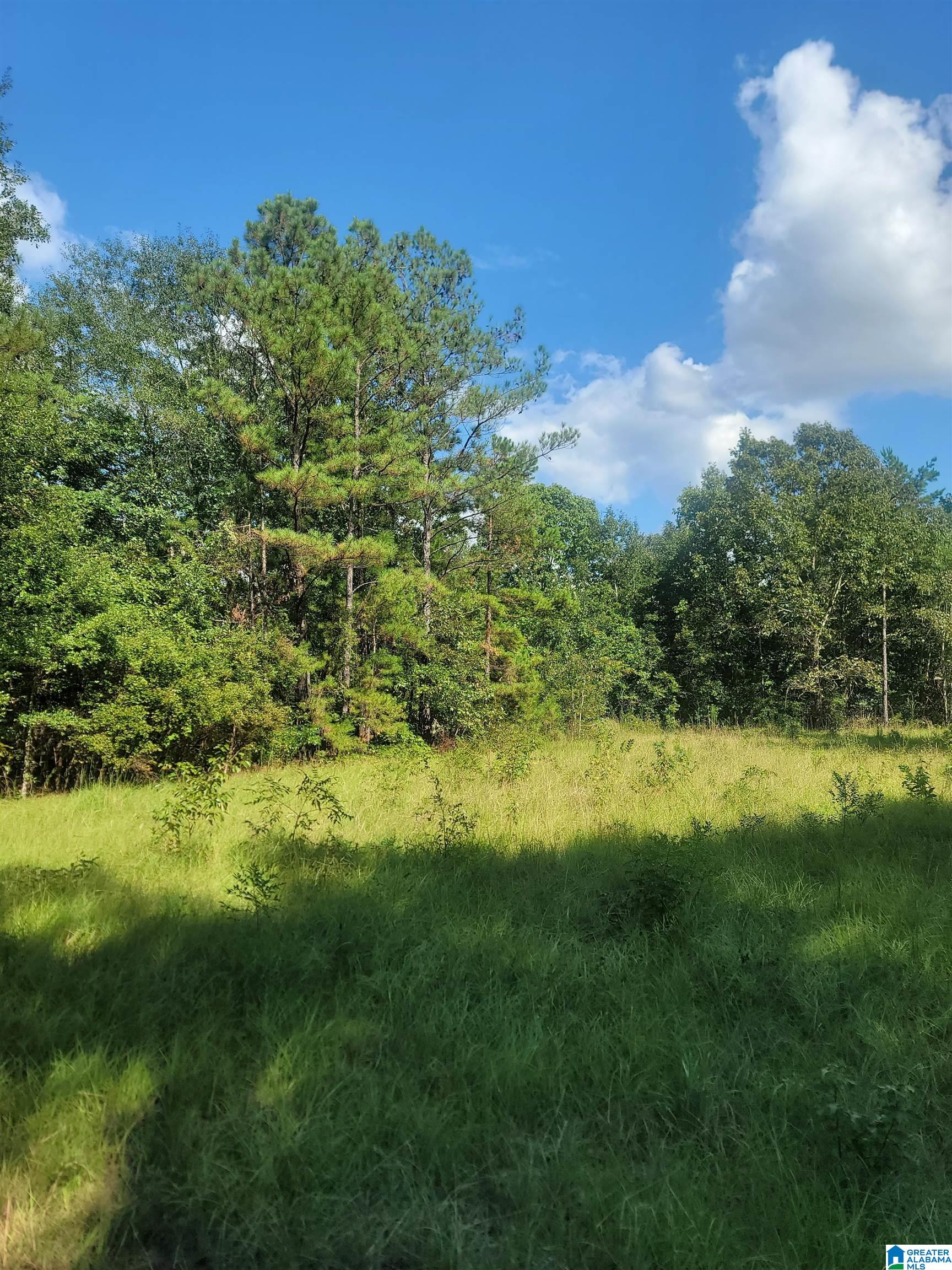 County Road 36, Jemison, AL 35085 | MLS 21364584 | Listing Information ...