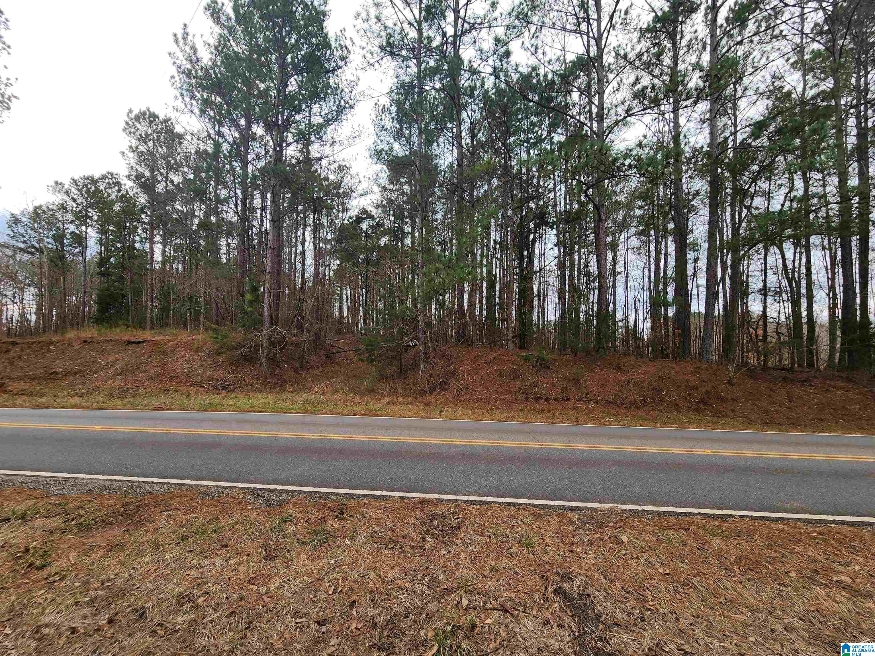 County Road 14, Rockford, AL 36026 | MLS 1345850 | Listing Information ...