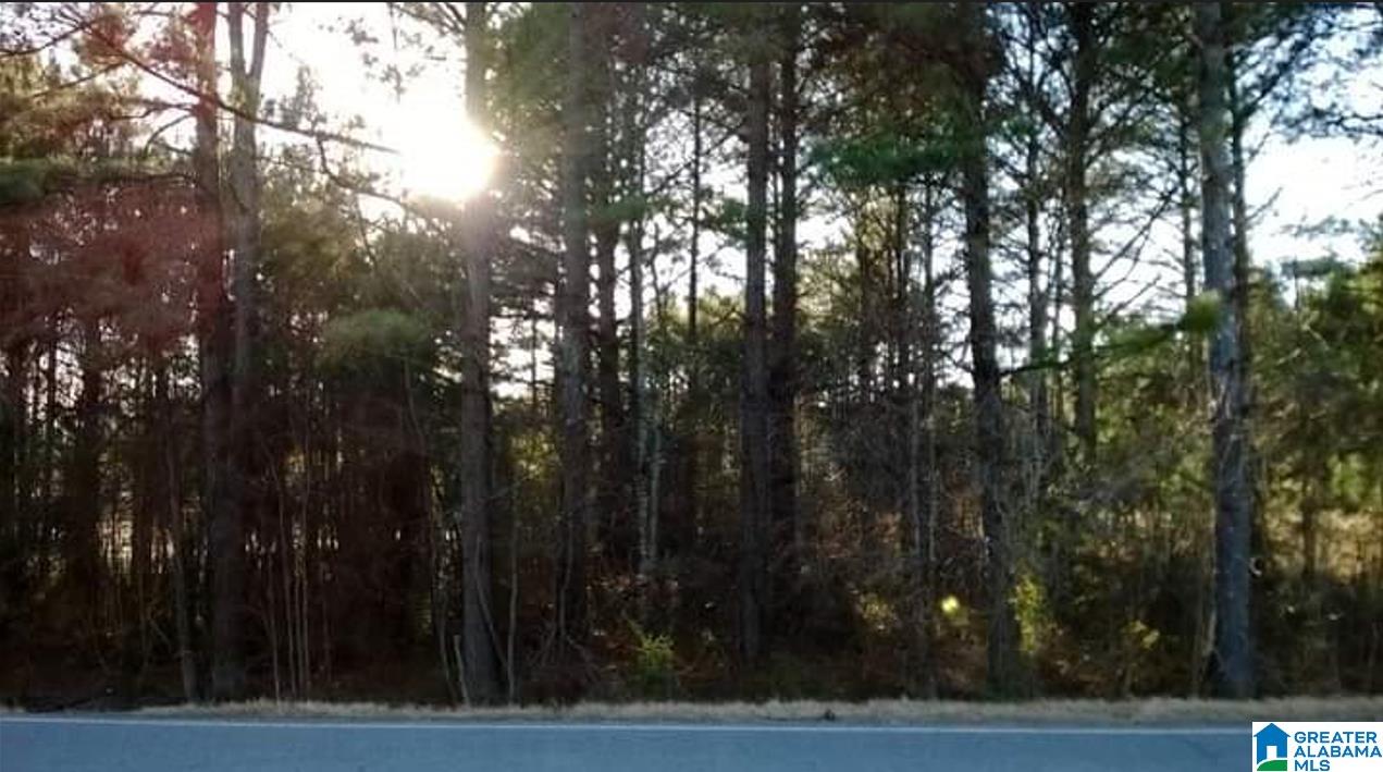 Nisbet Lake Road, Jacksonville, AL 36265 MLS 1328718 Listing