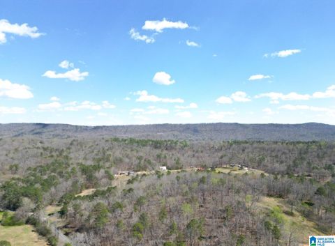 1931 Red Valley Road, Remlap, AL 35133 - MLS#: 21413261