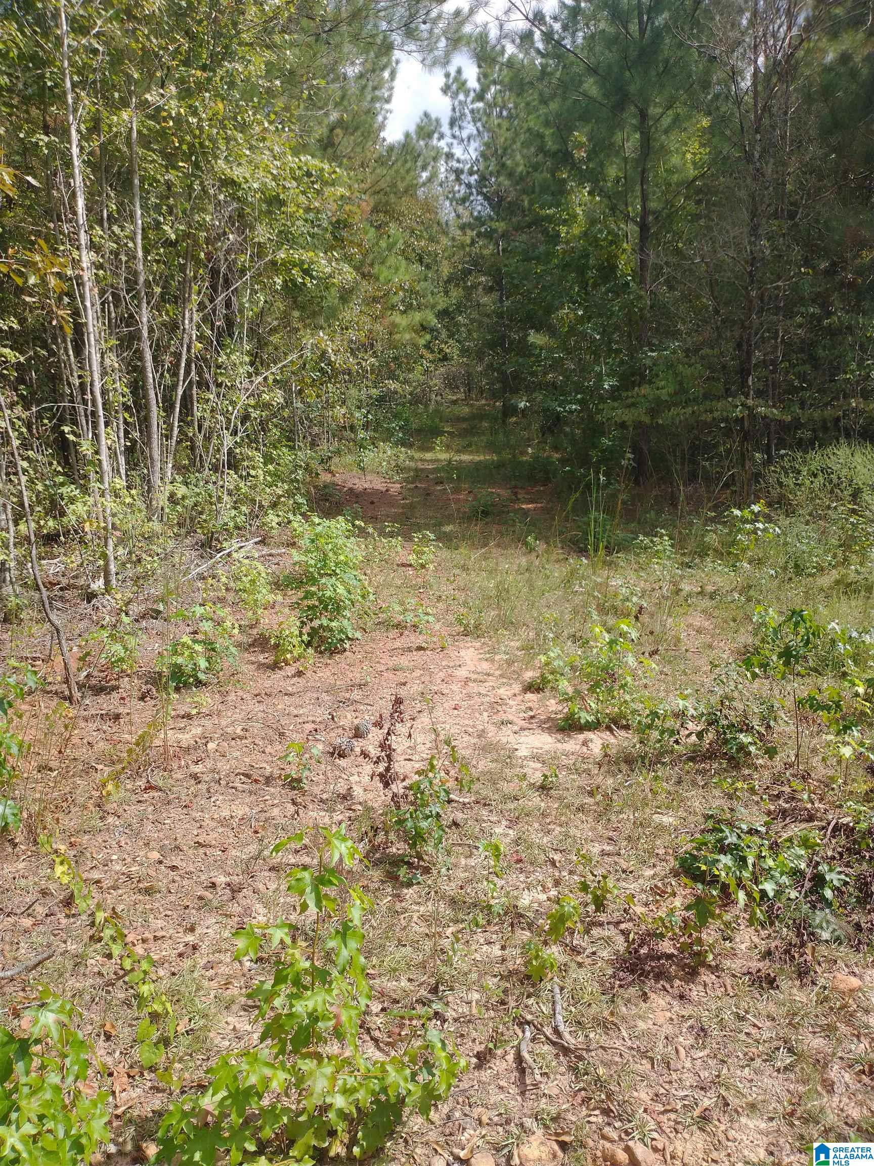 004 Serenity Lane, Alpine, AL 35014 | MLS 21431534 | Listing ...
