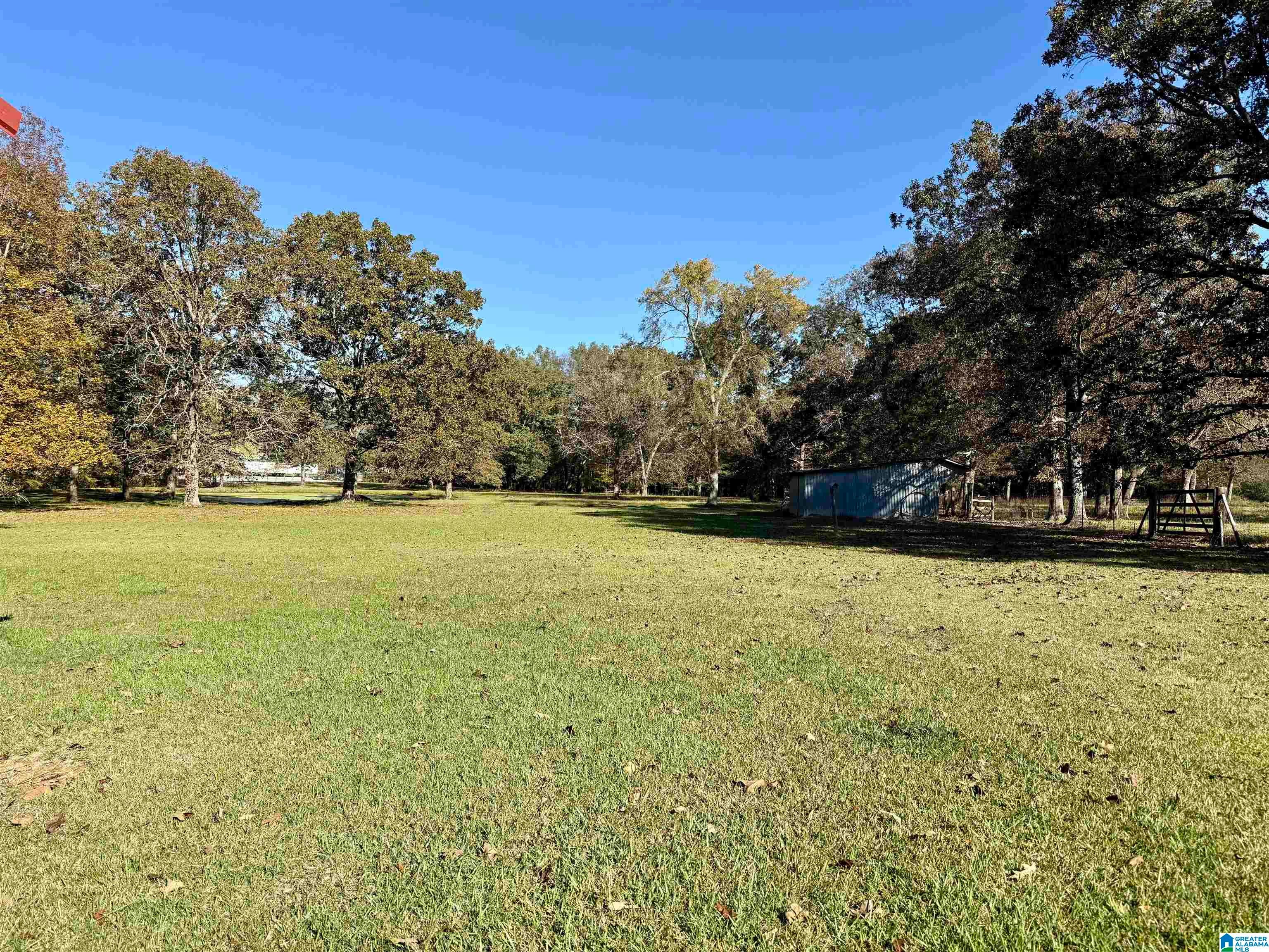 1463 Steele Station, Steele, AL 35987 | MLS 21435665 | Listing ...