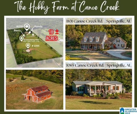1101 Canoe Creek Road, Springville, AL 35146 - MLS#: 21401651
