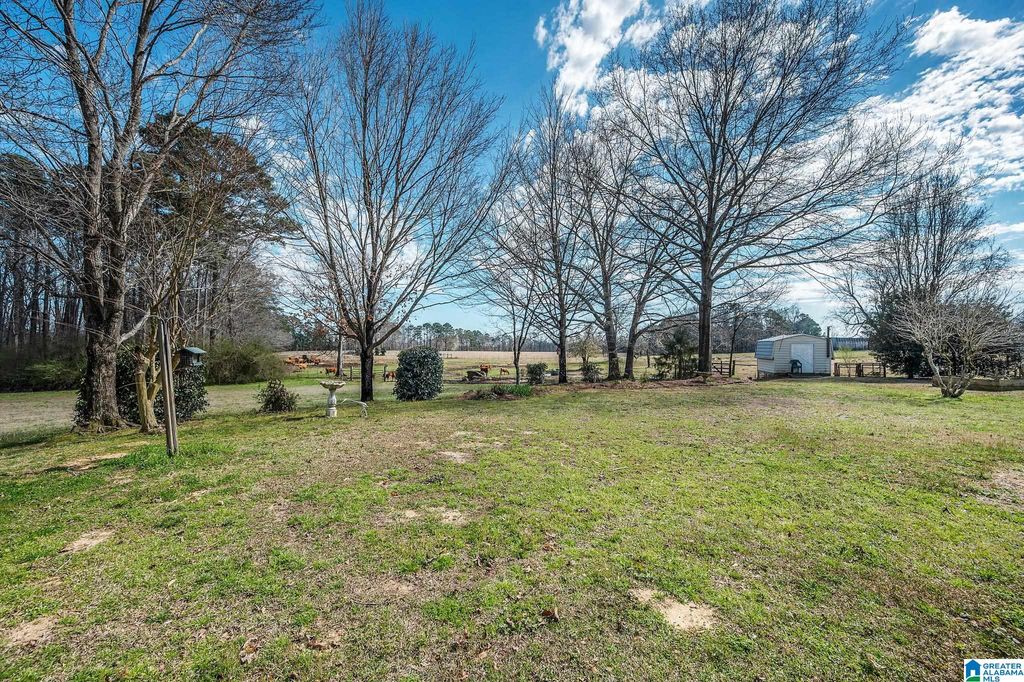 3821 Mount Olive Road, Mount Olive, AL 35117 | MLS 1313679 | Listing ...